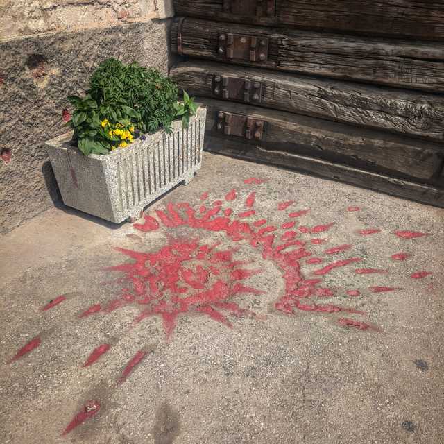 sarajevo_rose